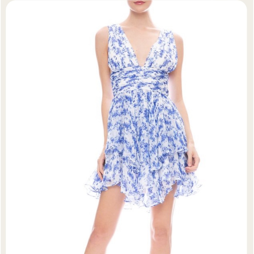 Caroline constas mini dress